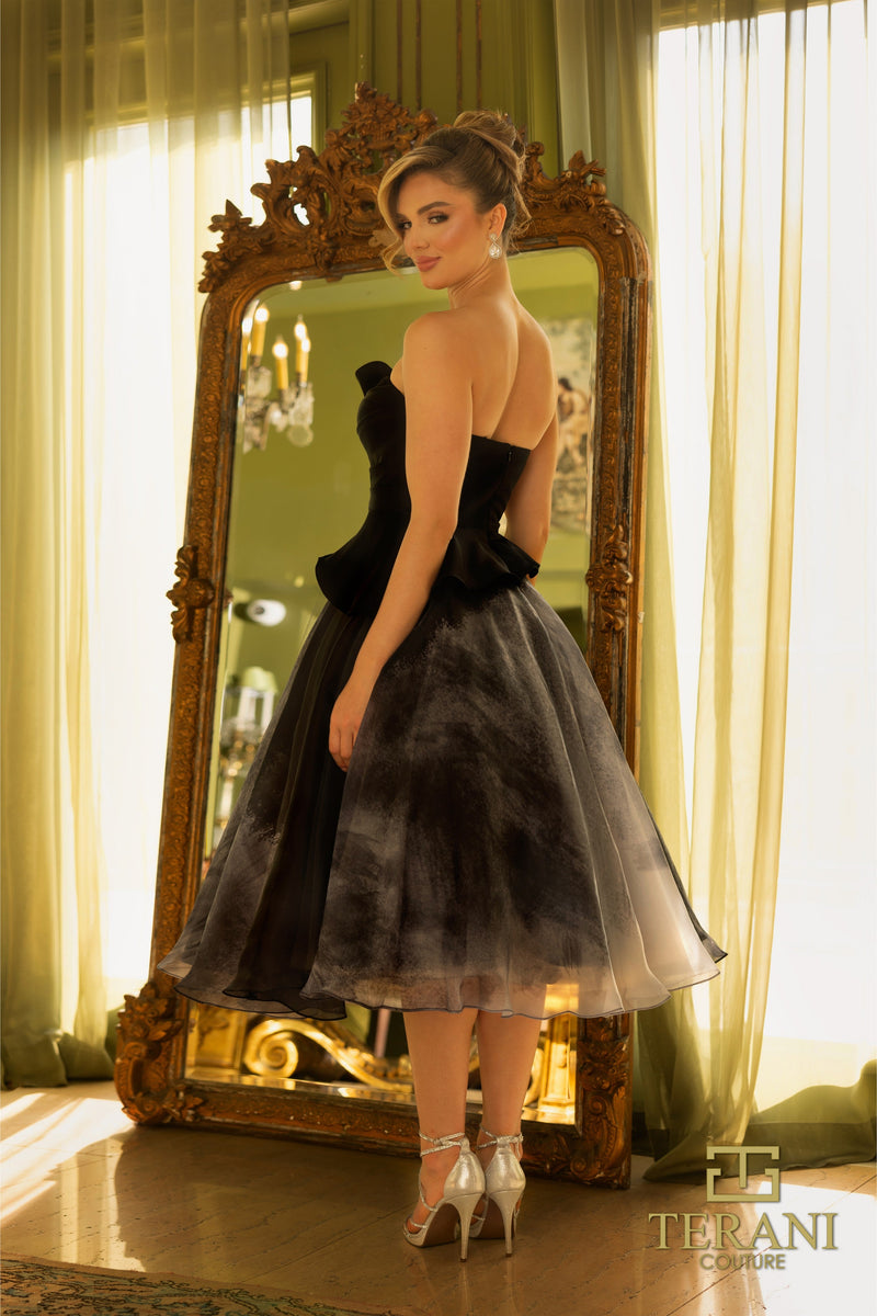 Terani 242C3011_SILVER_BLACK_BACK