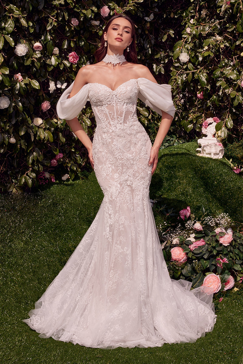 Andrea & Leo Couture WL031_OFF--WHITE_FORNT