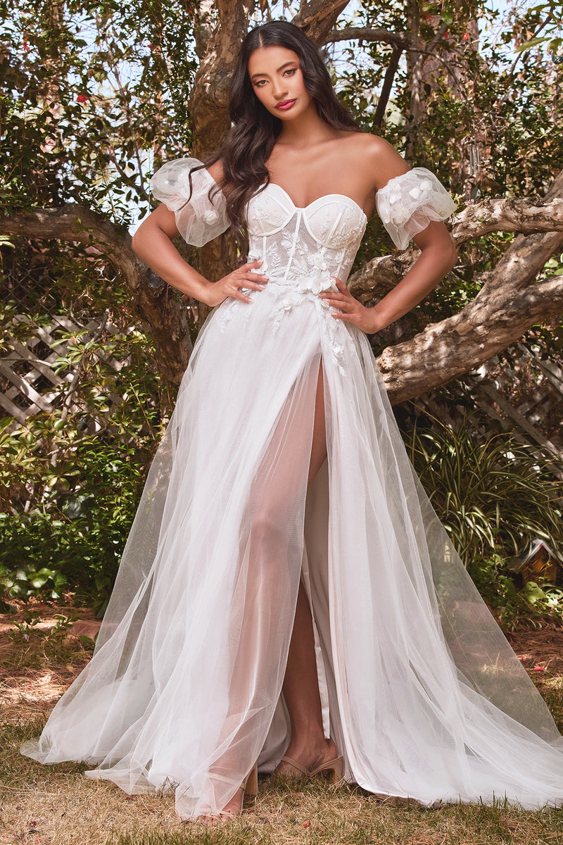 Ladivine by Cinderella Divine cb080w