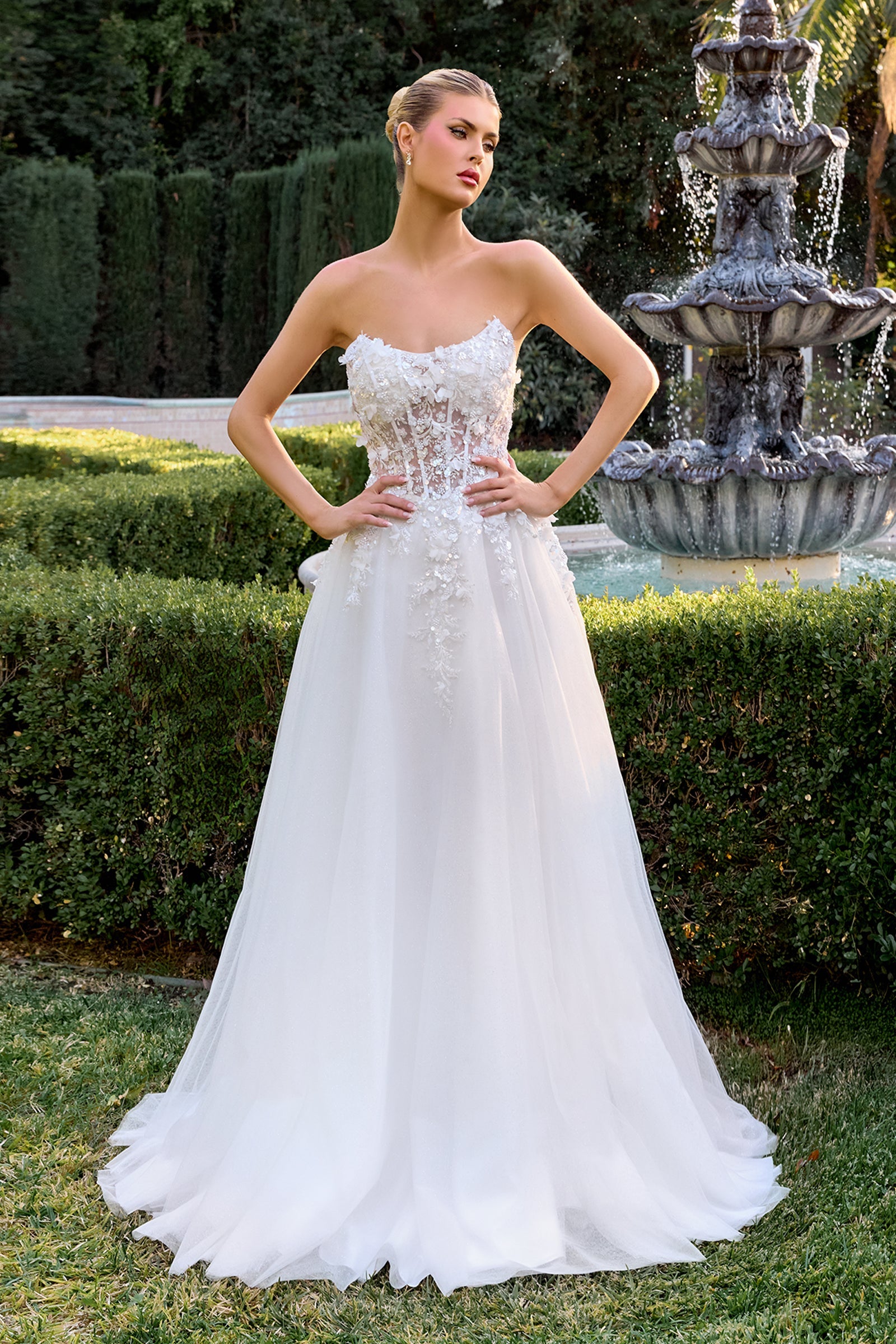 Ladivine by Cinderella Divine C174W – After Five Fashion