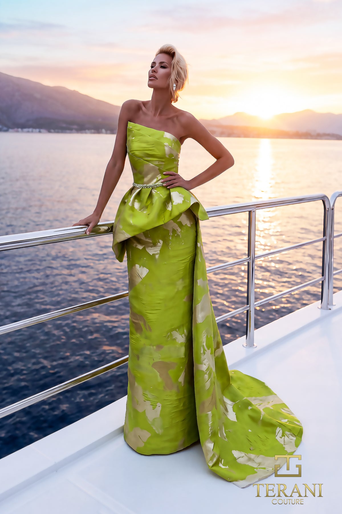 Terani 271E8294 designer dress image