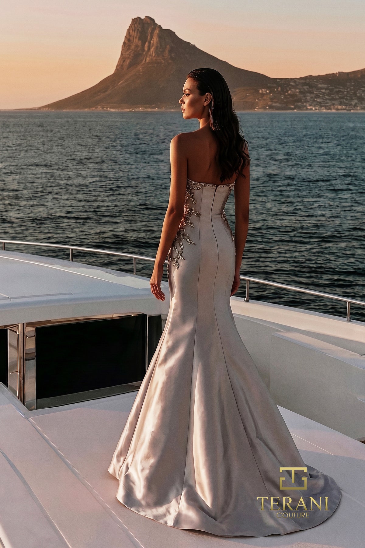 Terani 271M8405 designer dress image