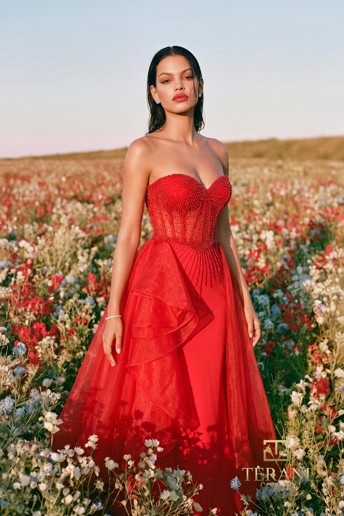 Terani 271P8022 designer dress image