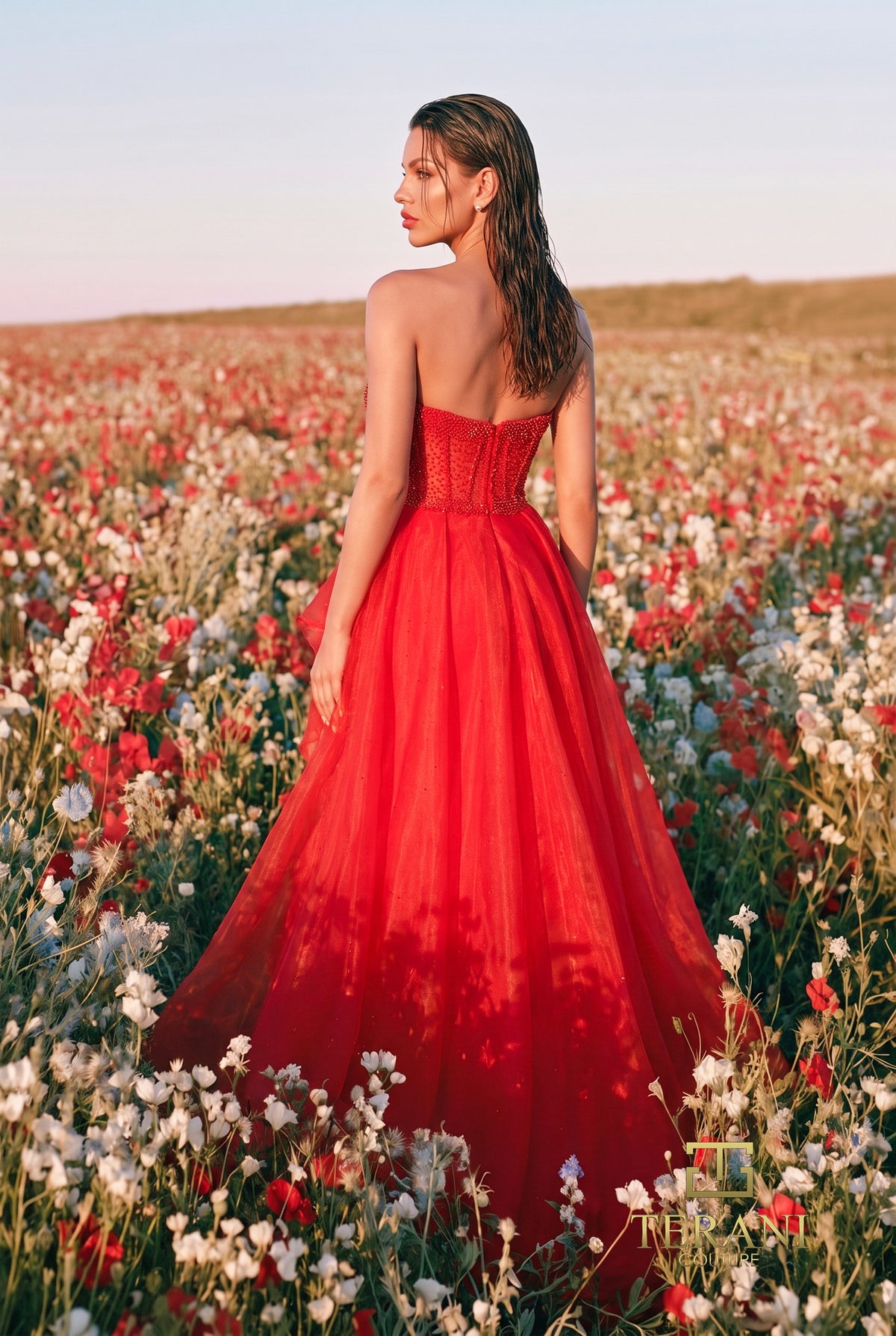 Terani 271P8022 designer dress image