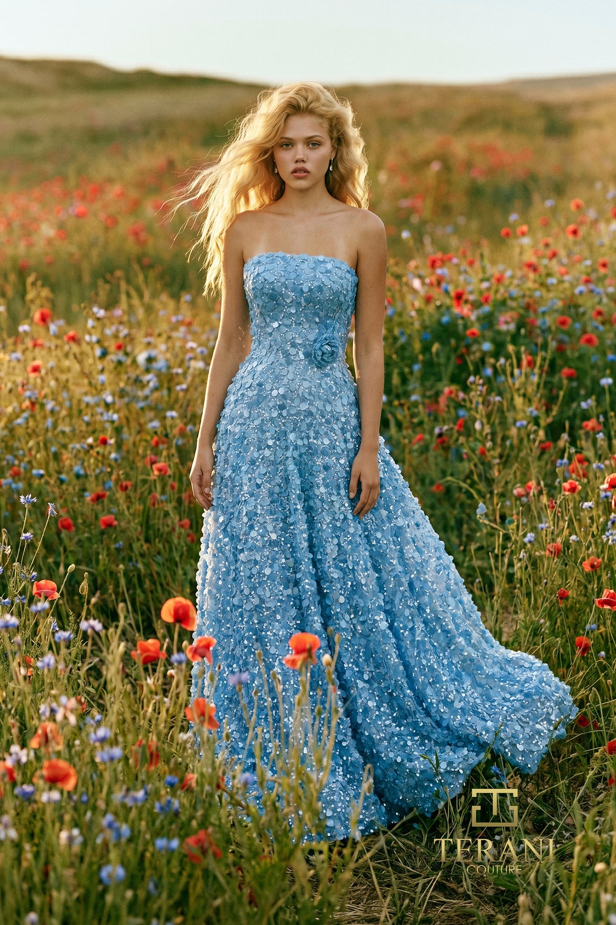 Terani 271P8042 designer dress image