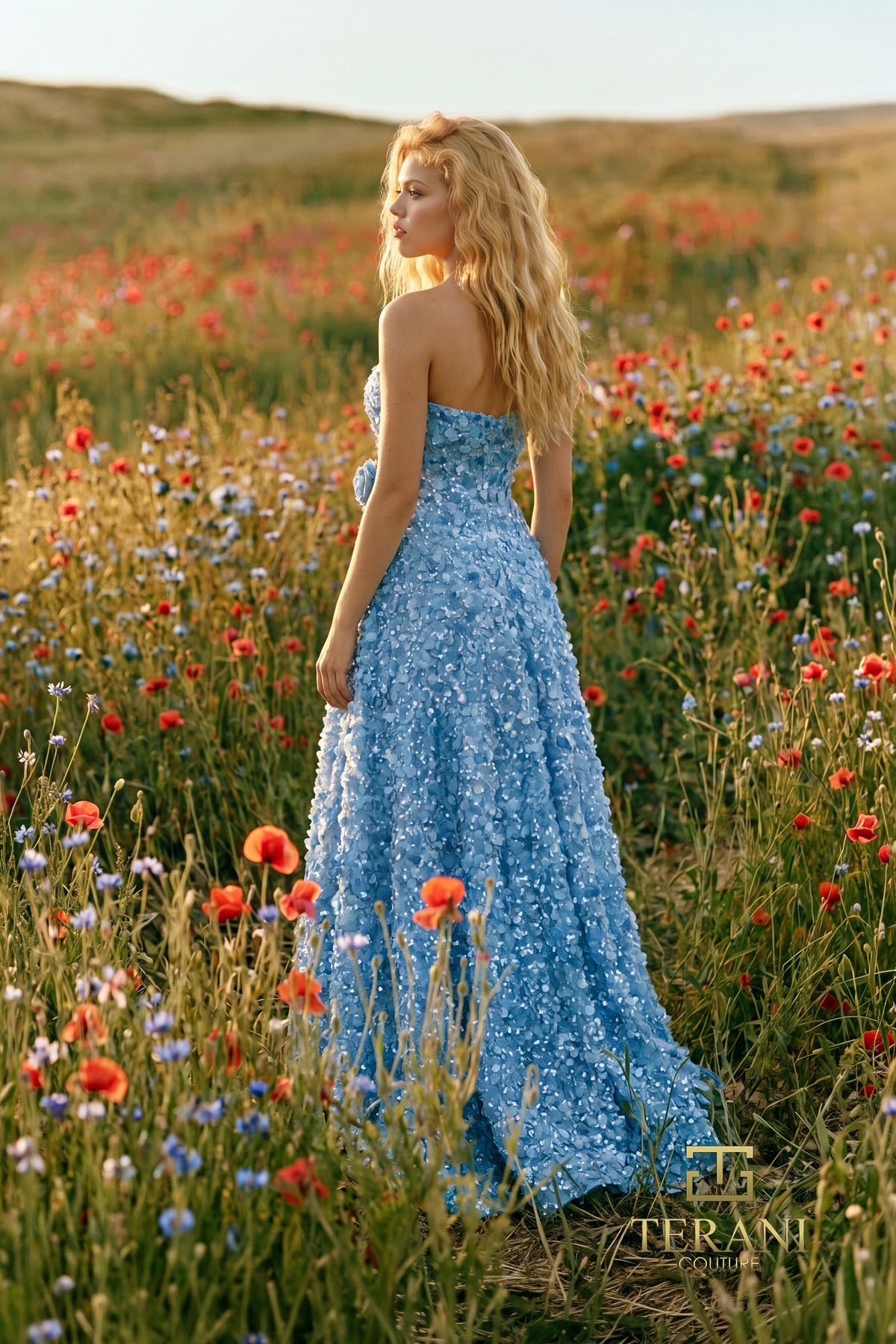 Terani 271P8042 designer dress image