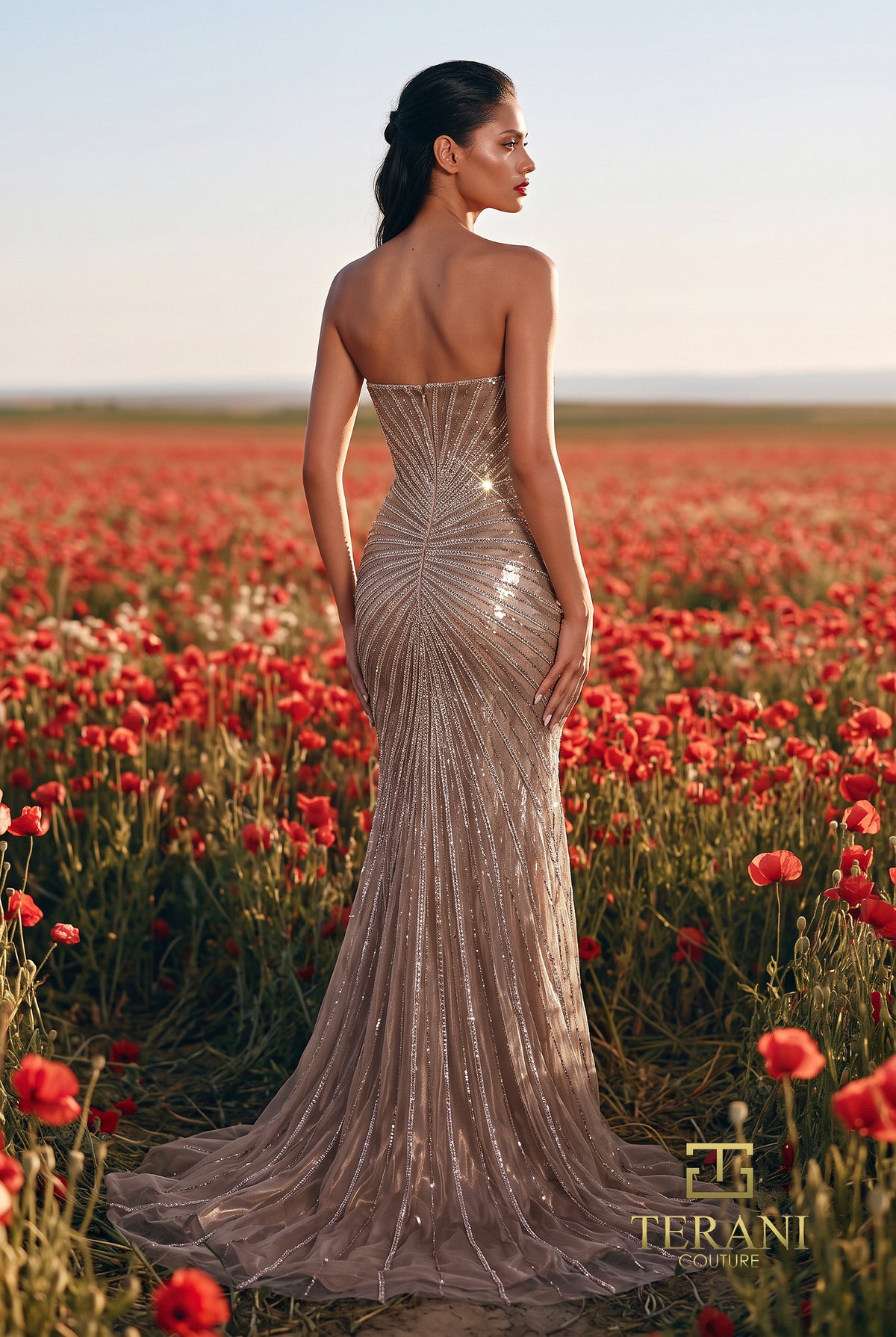 Terani 271P8126 designer dress image
