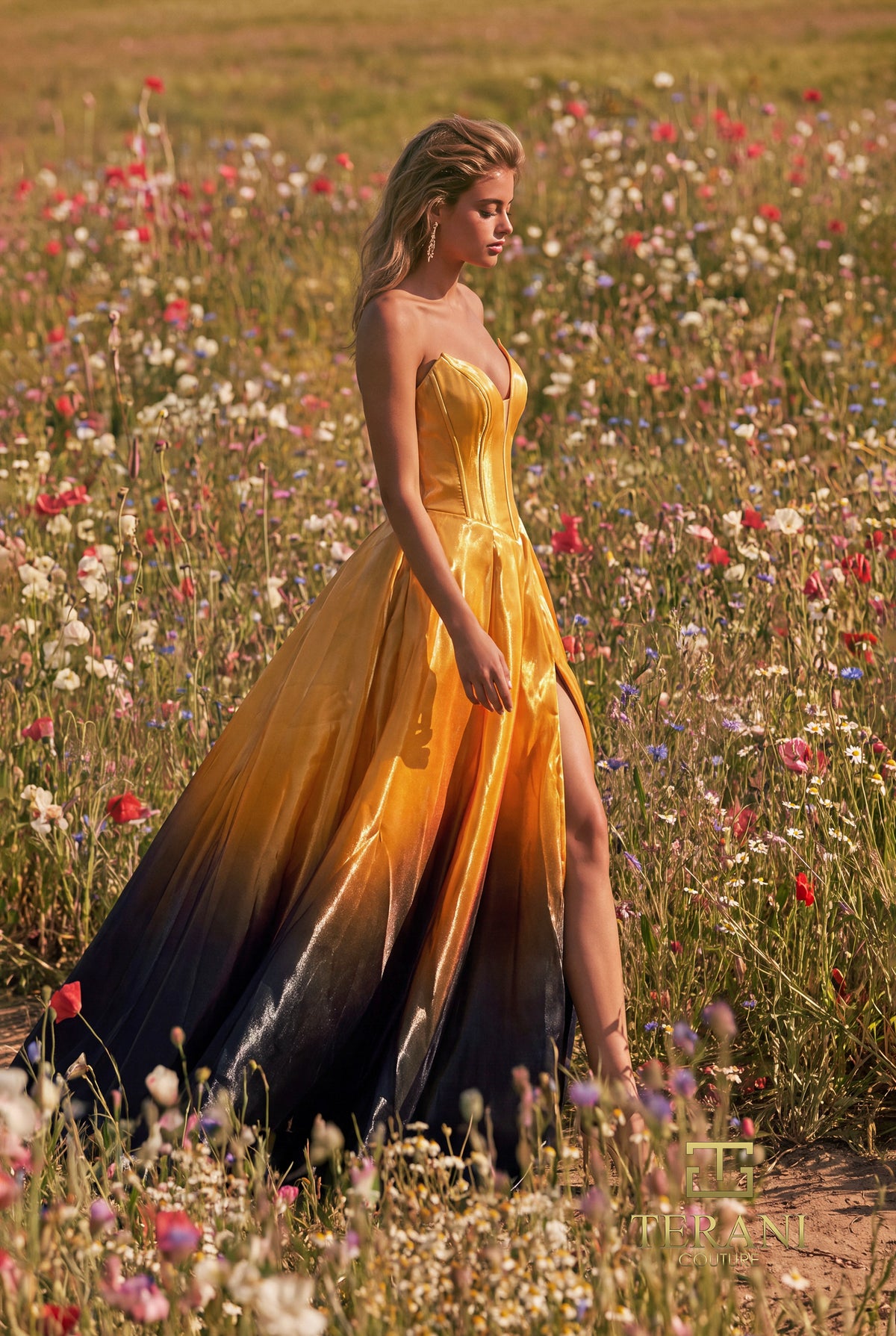 Terani 271P9049 designer dress image