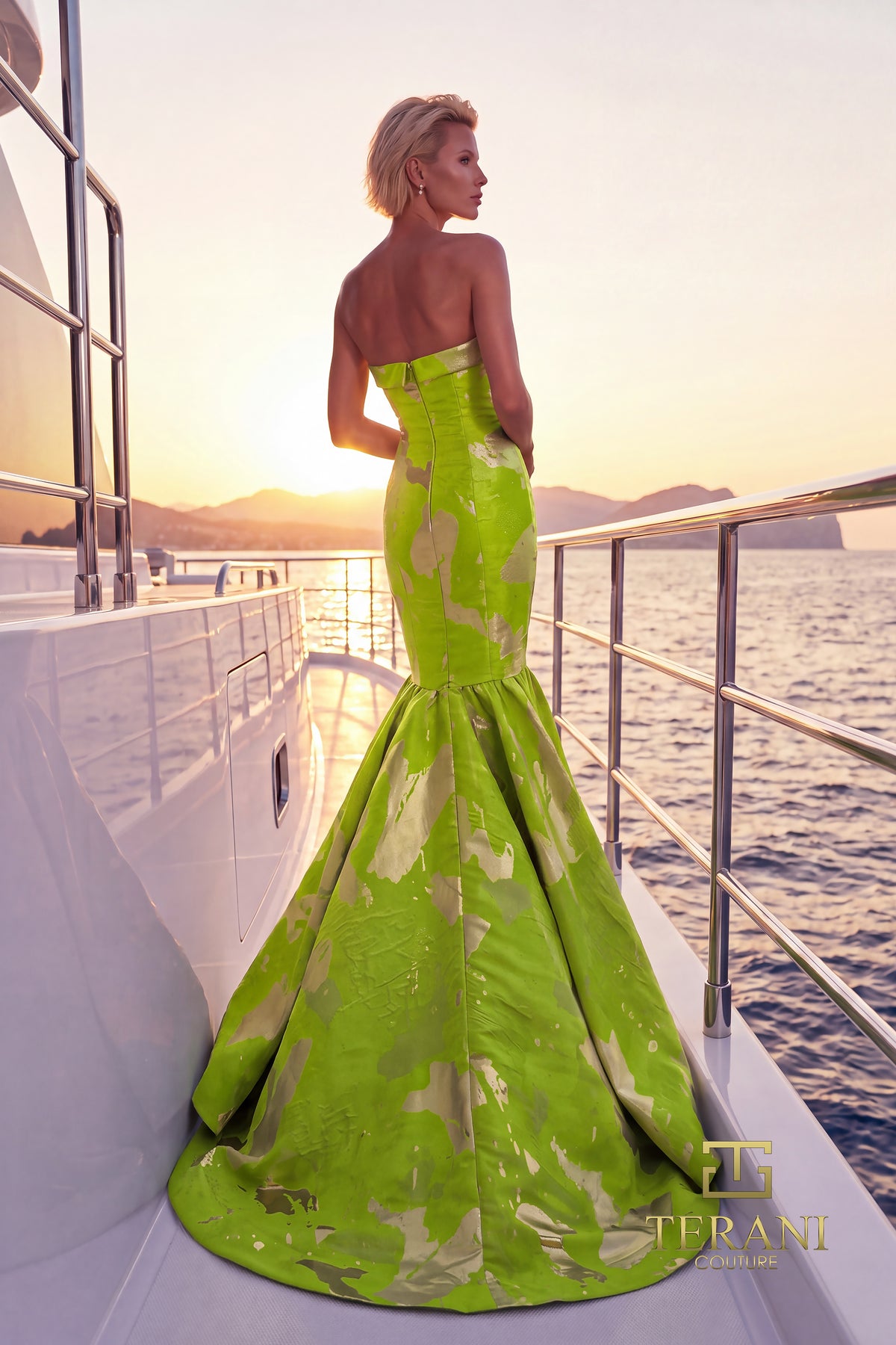 Terani 271E8292 designer dress image
