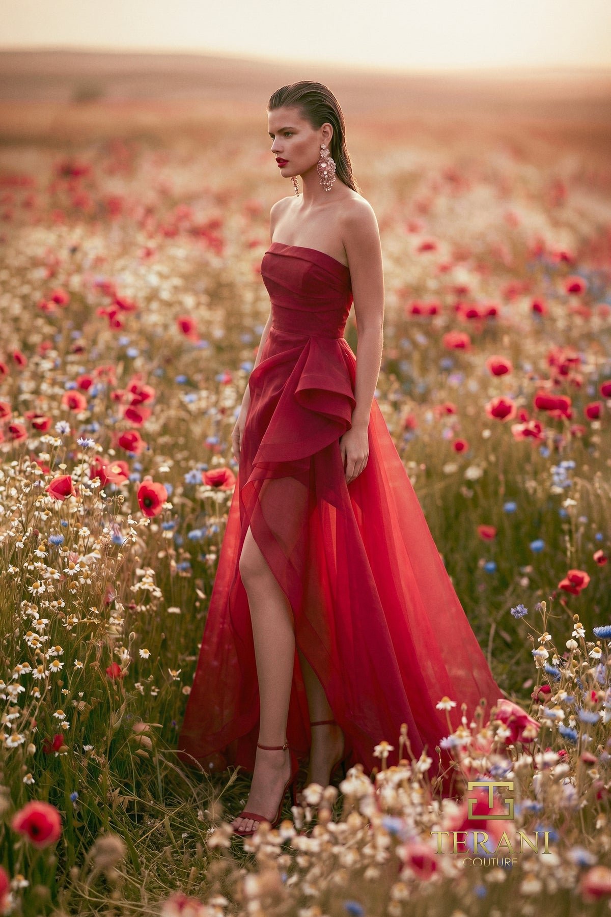 Terani 271P8003 designer dress image