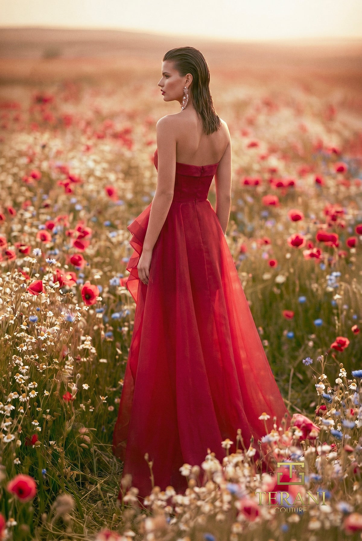 Terani 271P8003 designer dress image