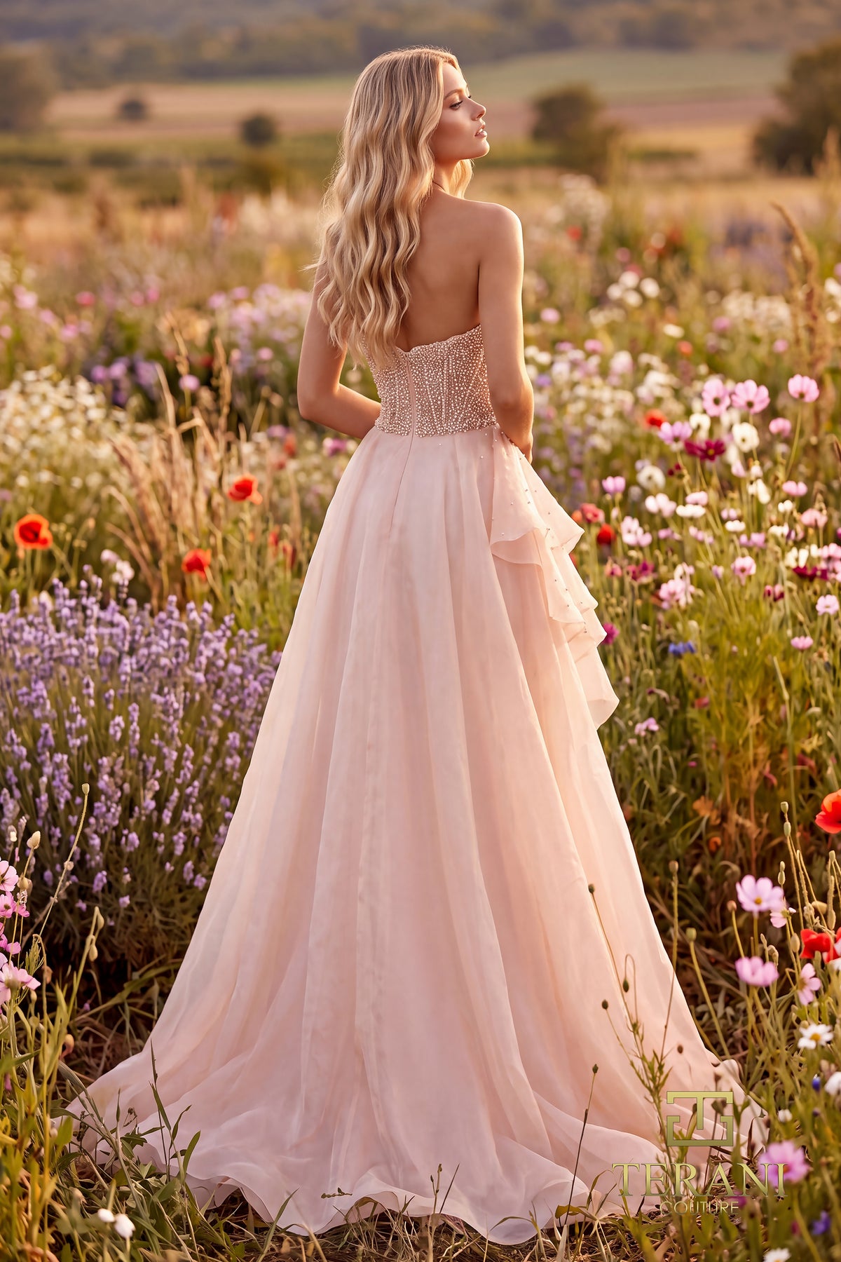 Terani 271P8022 designer dress image