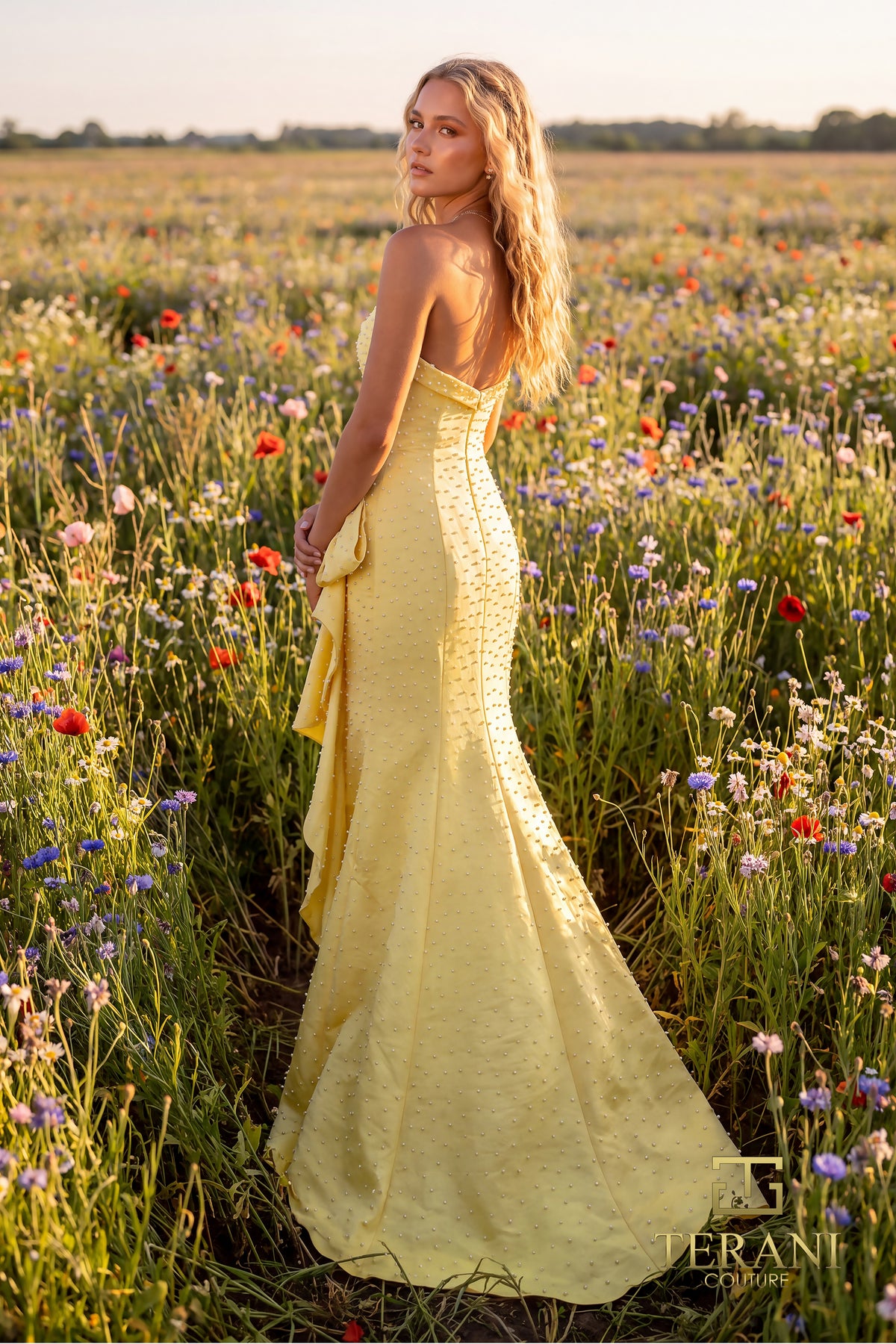 Terani 271P8055 designer dress image