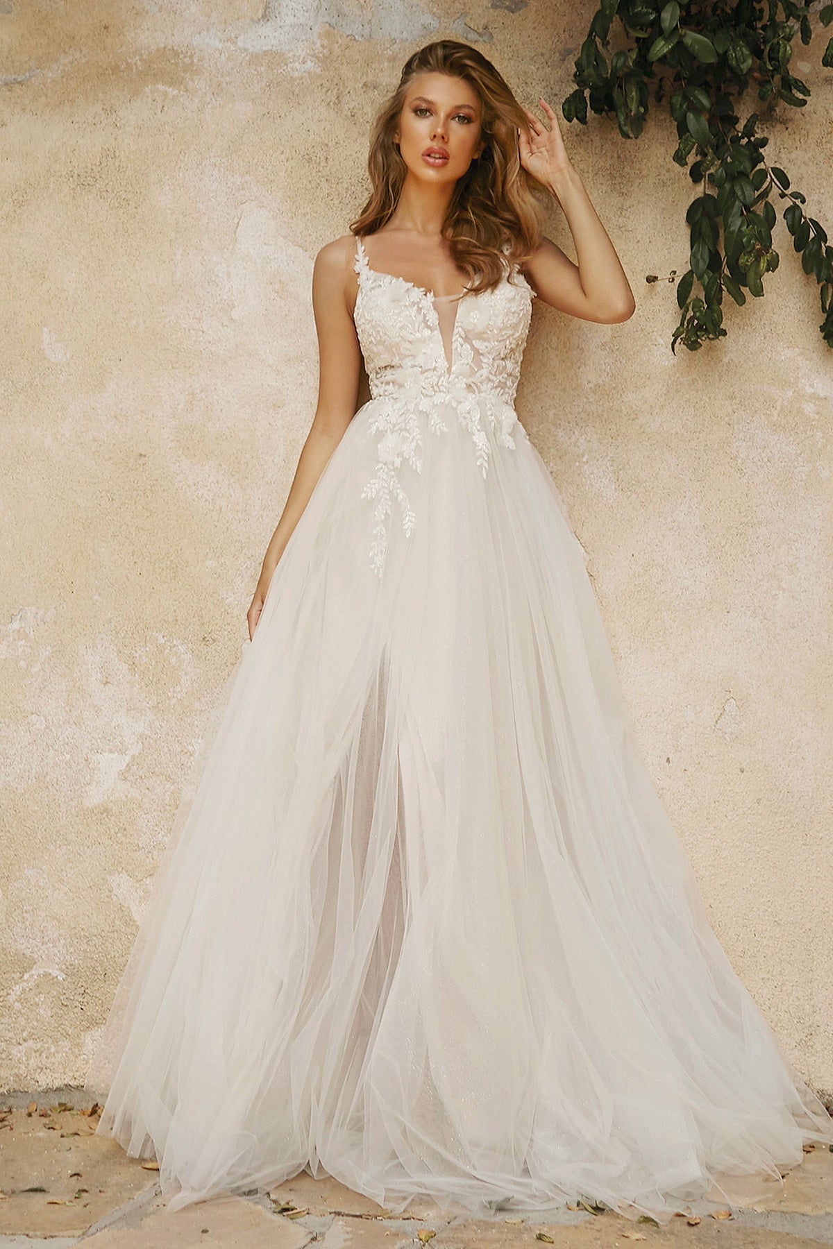 Ladivine by Cinderella Divine CB072W