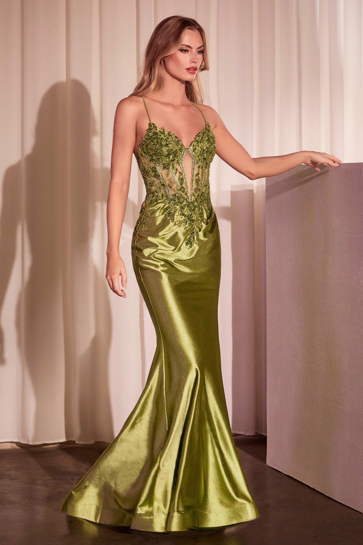 Ladivine by Cinderella Divine CC2401_GREENERY_FRONT