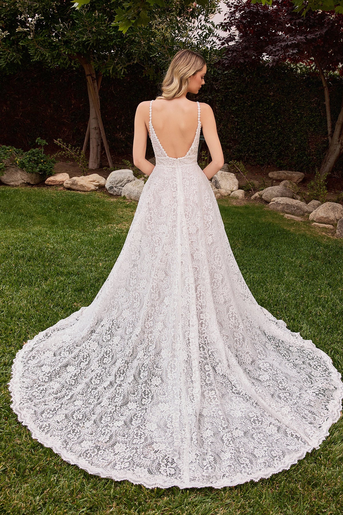 Ladivine by Cinderella Divine CD862W_6
