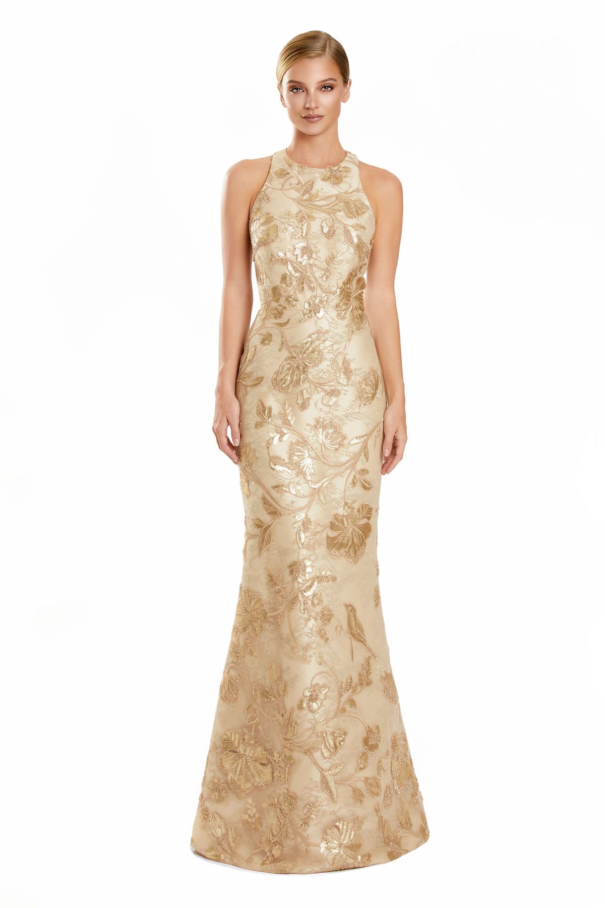 Alexander by Daymor 3101f25-gold-front