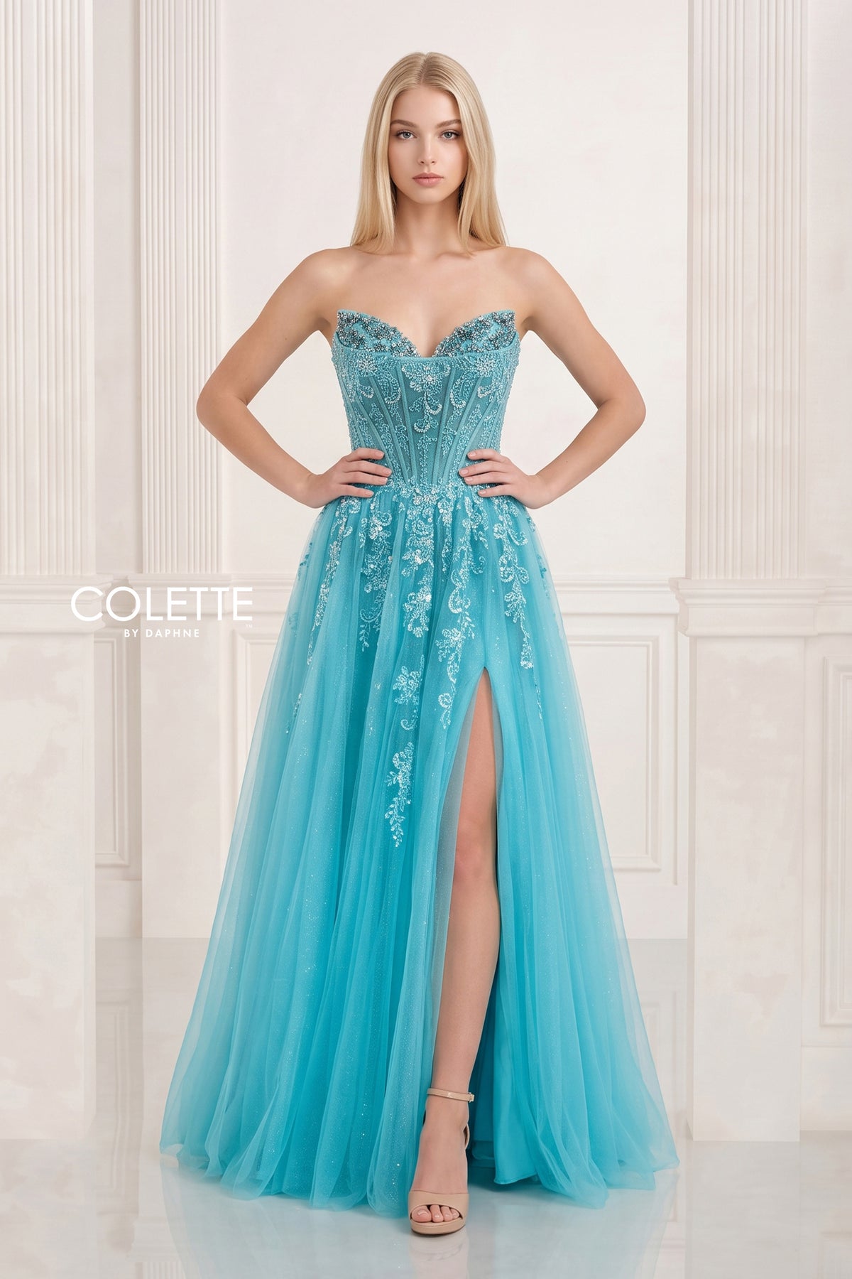 cl2941 aqua d