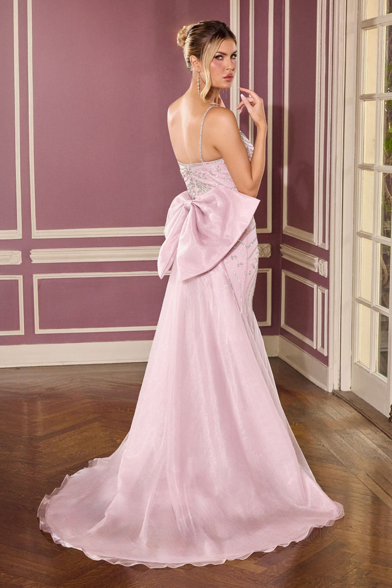 Ladivine by Cinderella Divine cb167-mauve-back