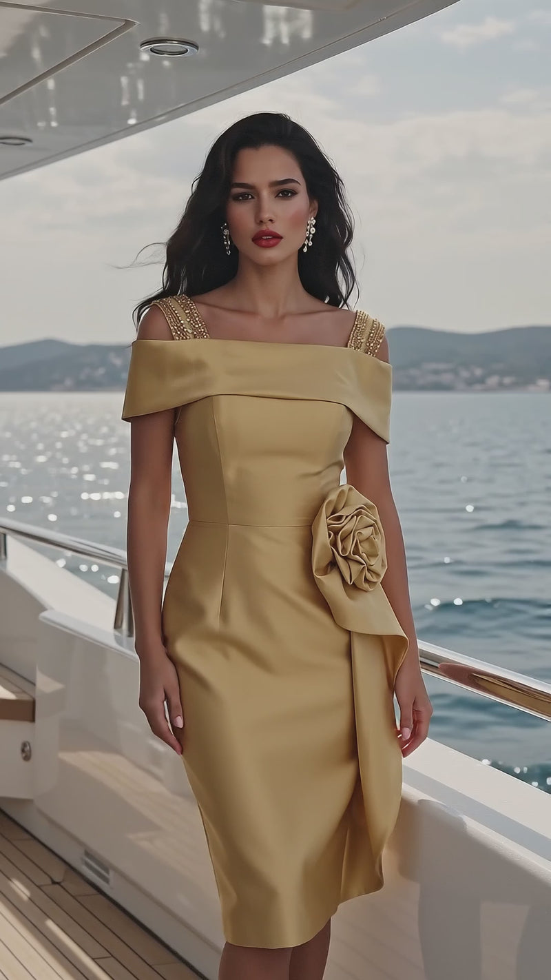 Terani 271C8190 designer dress video