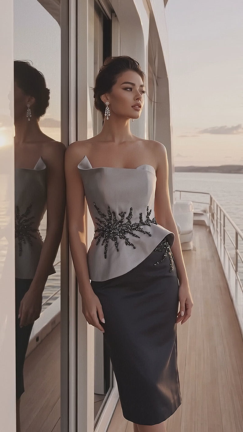 Terani 271C8217 designer dress video