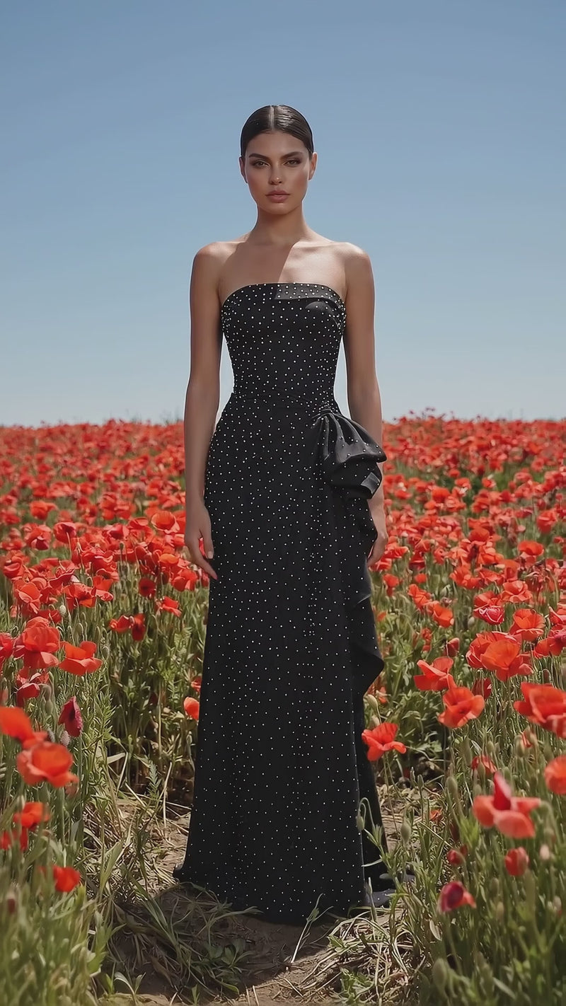 Terani 271P8055 designer dress video