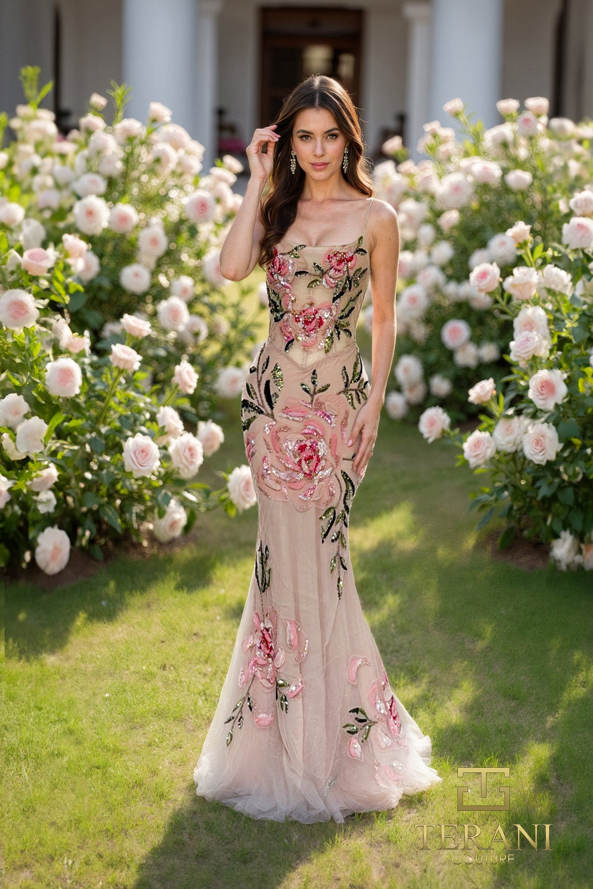 Terani 261P6677_Blush_F1