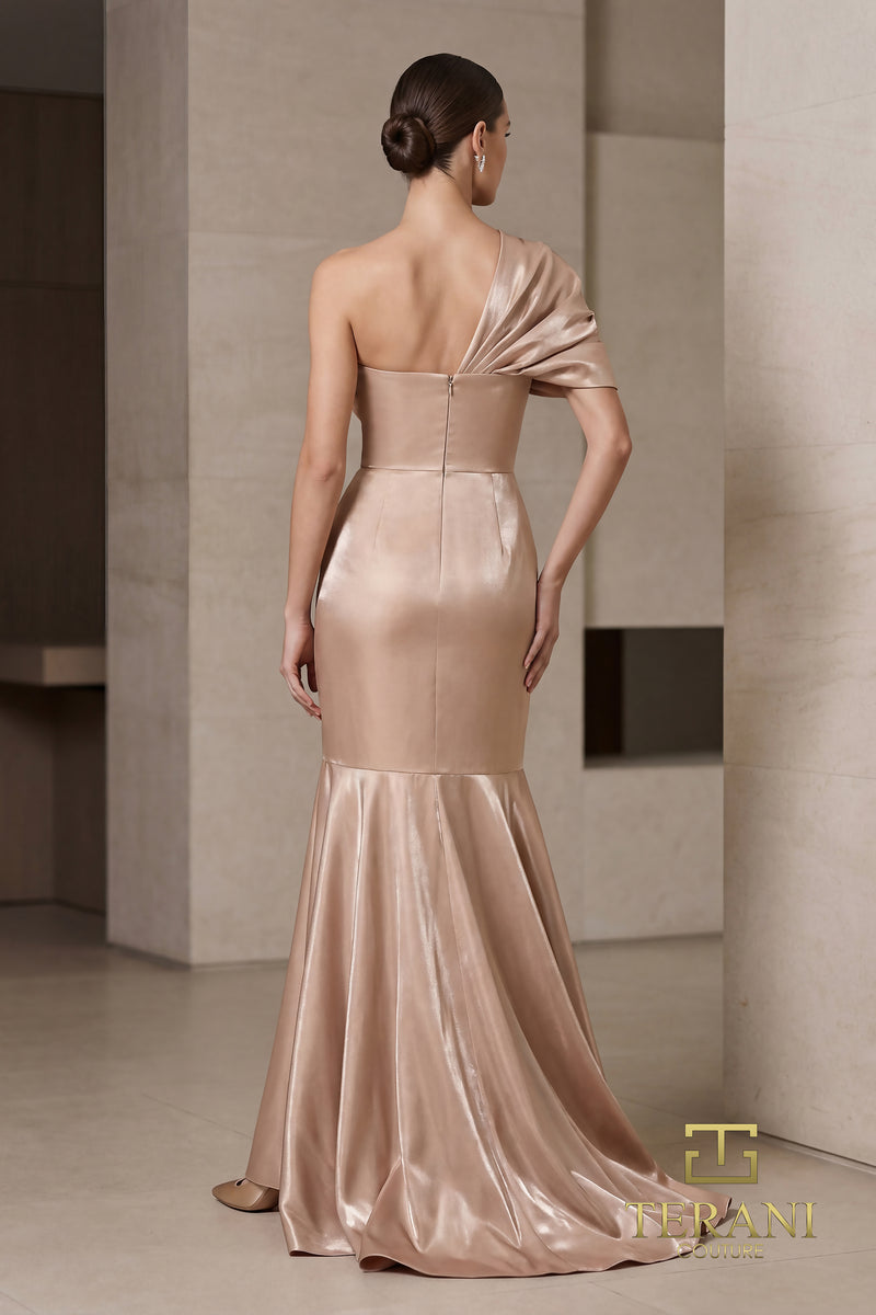 terani-262e7119_back